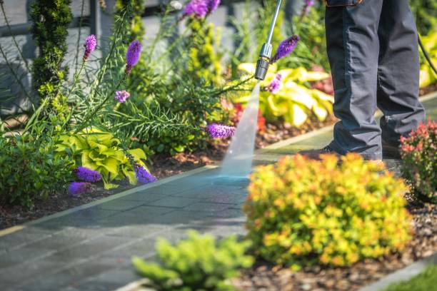 Trusted Brookwood, AL Pressure Washing Services Experts